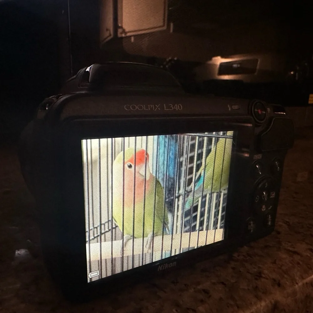 Great camera in great shape. 28x optical zoom wide lens. 20.2Mp point and shoot